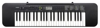 Casio CTK240