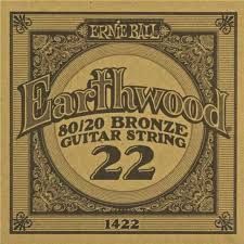 Ernie Ball P01422 EARTHWOOD .22