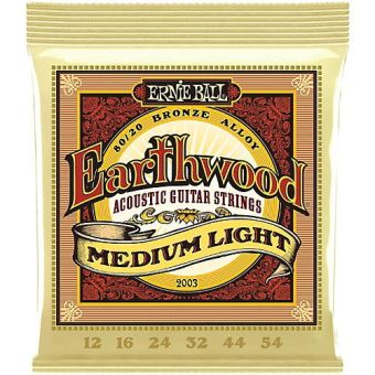 Ernie Ball 2003 EARTHWOOD MED LIGHT