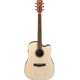 Ibanez PF10CE-OPN Akustična ozvučena gitara