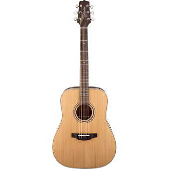 Takamine GD20-NS